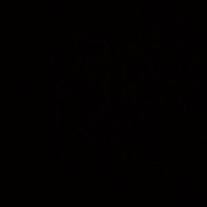 Meet your Posher, Shawnshawn